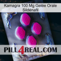 Kamagra 100 Mg Gelée Orale Sildénafil 02